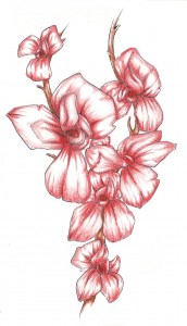 Viele verschiedene Wandtattoos Viele verschiedene Wandtattoos