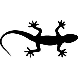 Wandtattoo Gecko Geckos und Echsen als Wandaufkleber